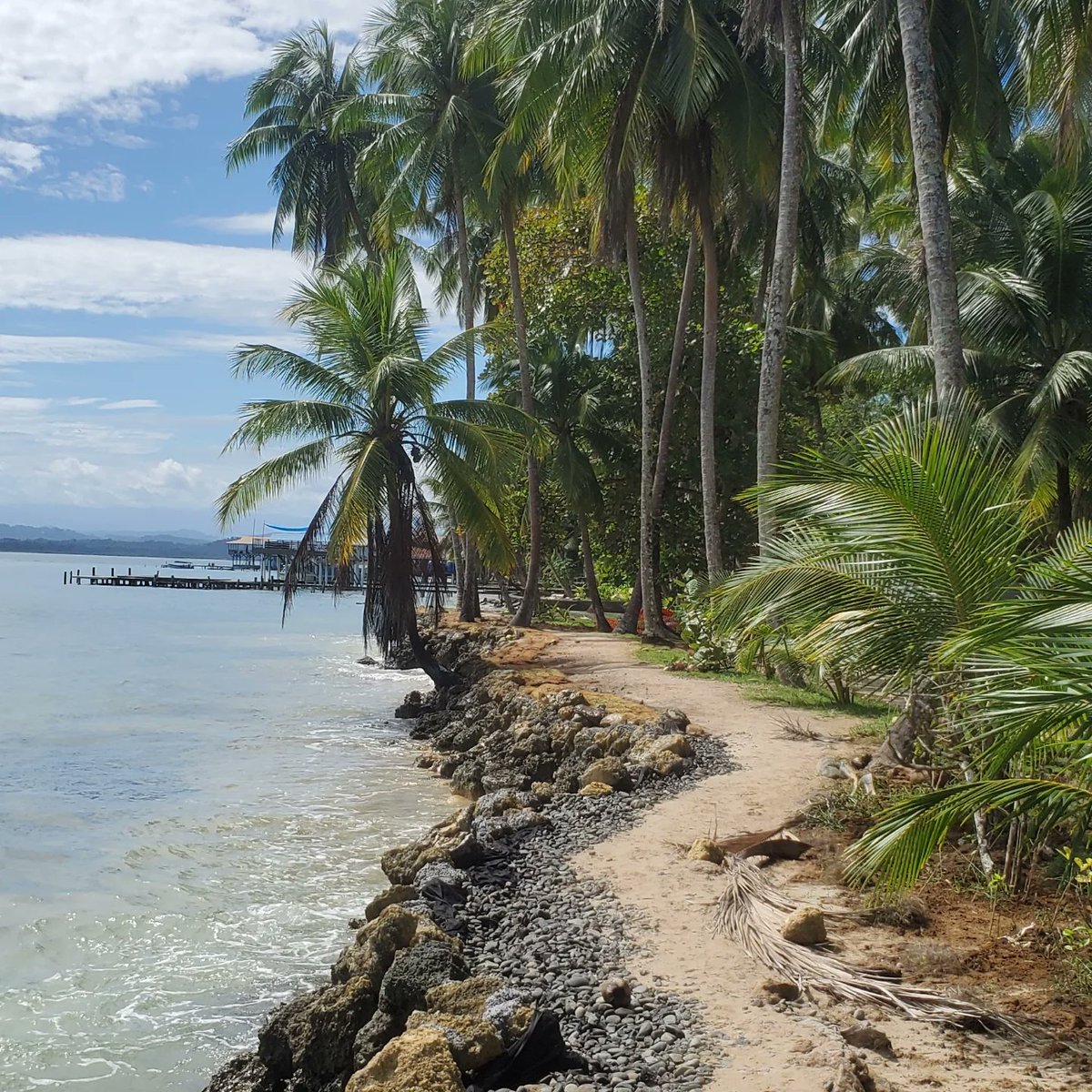 AmandaTarbad's tweet photo. And one final beach day... for now. Playa vacation in Bocas del Toro, Panama. https://t.co/LZv2mCnkxM