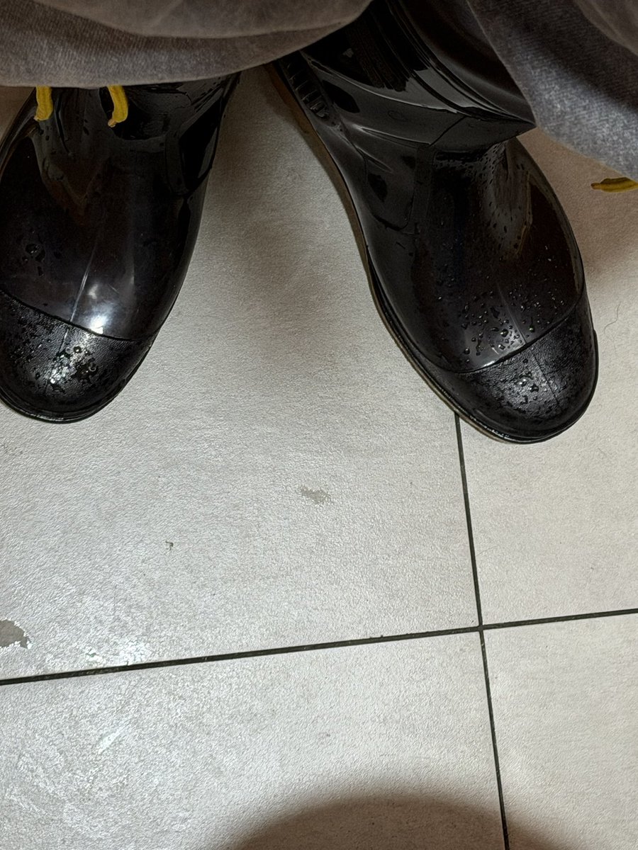 Rainboot1069's tweet photo. https://t.co/qy15ONKbaq