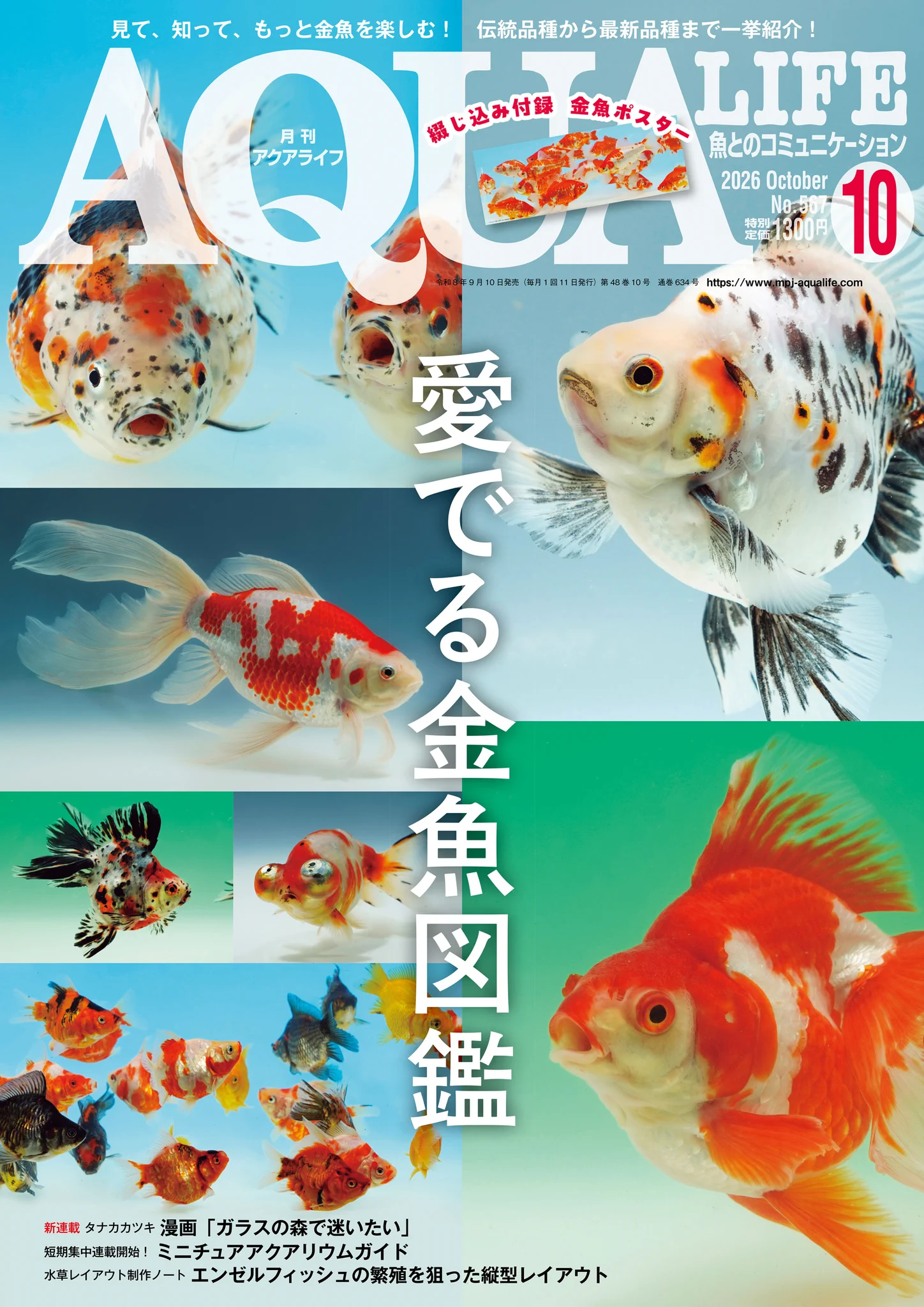 アクアライフ　まとめ売り 月刊アクアライフ編集部 on X: 