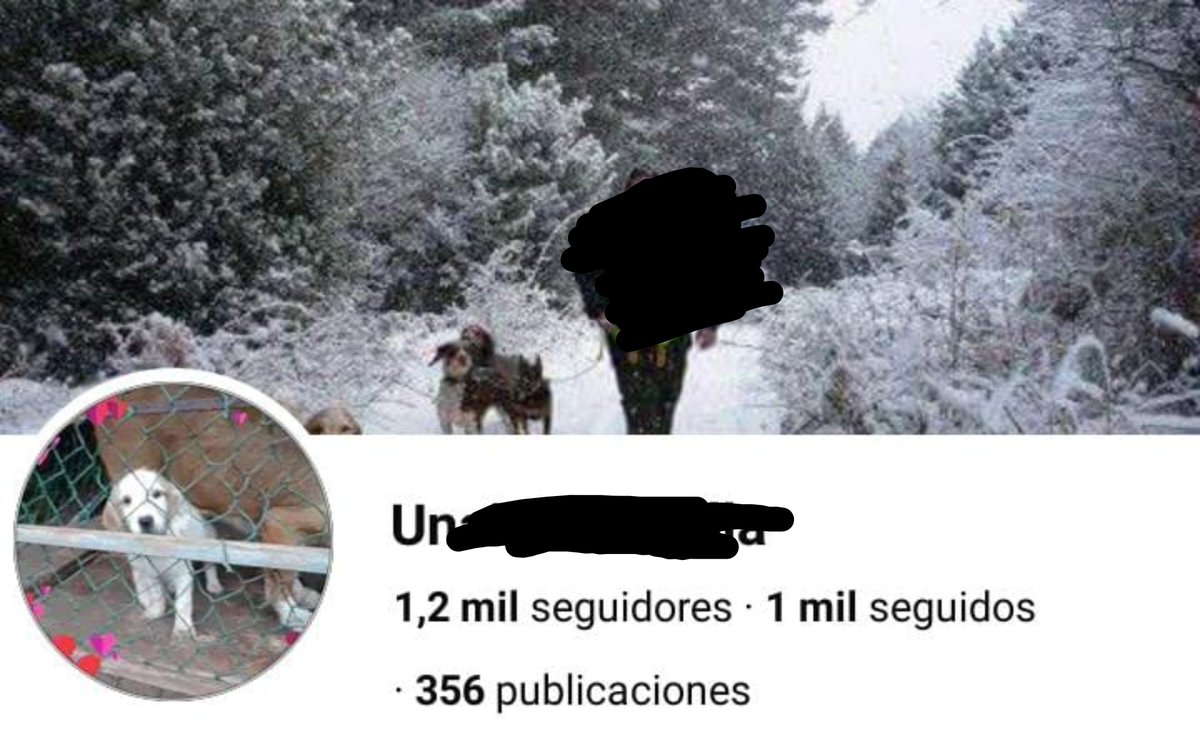 Neinei_rescue's tweet photo. Atención!!! 
Un hombre zona Euskadi, Rioja, etc. busca gatos que se entregan sin burocracia para entrenar a sus perros.

Su nombre Unai S.
Si alguien da en adopción animales y necesita más información. MD

Por favor no entreguéis animales a particulares sin protocolo, contrato y seguimiento por muy majos que os parezcan. 

Puede cambiar de foto de perfil y de nombre dice ser de diferentes sitios. 
NO OS FIÉIS DE NADIE