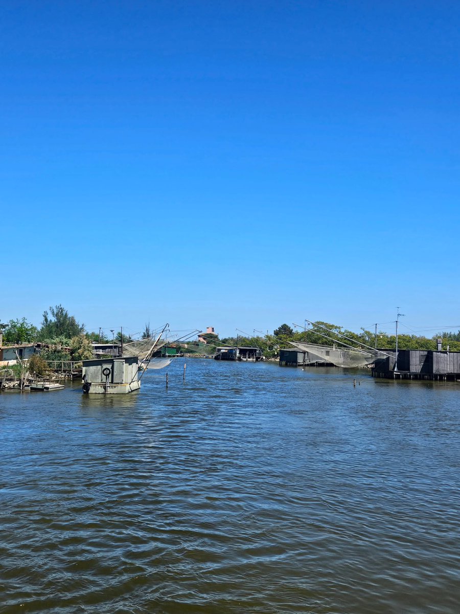 SaraSive96's tweet photo. Boat trip through the Valli di Comacchio. https://t.co/CWYy1K5eeI