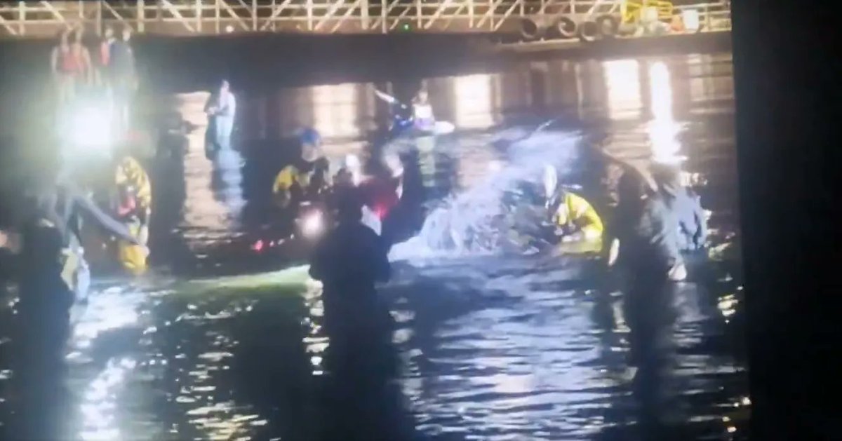 DanielJHannan's tweet photo. Familiarity has numbed us to the sheer weirdness of what we are doing. A normal country treats its borders as sacrosanct. For hundreds of years, we defended our waters with broadsides and cutlasses.
Now, we offer a maritime taxi service to criminals who are seeking to break in to our country.
What a strange hill on which to die. The Left is not just destroying itself electorally; it is undermining our democratic order.
And all for what? To keep importing lawless young men with no claim on our nationality who are already in a safe country? My masters are you mad?