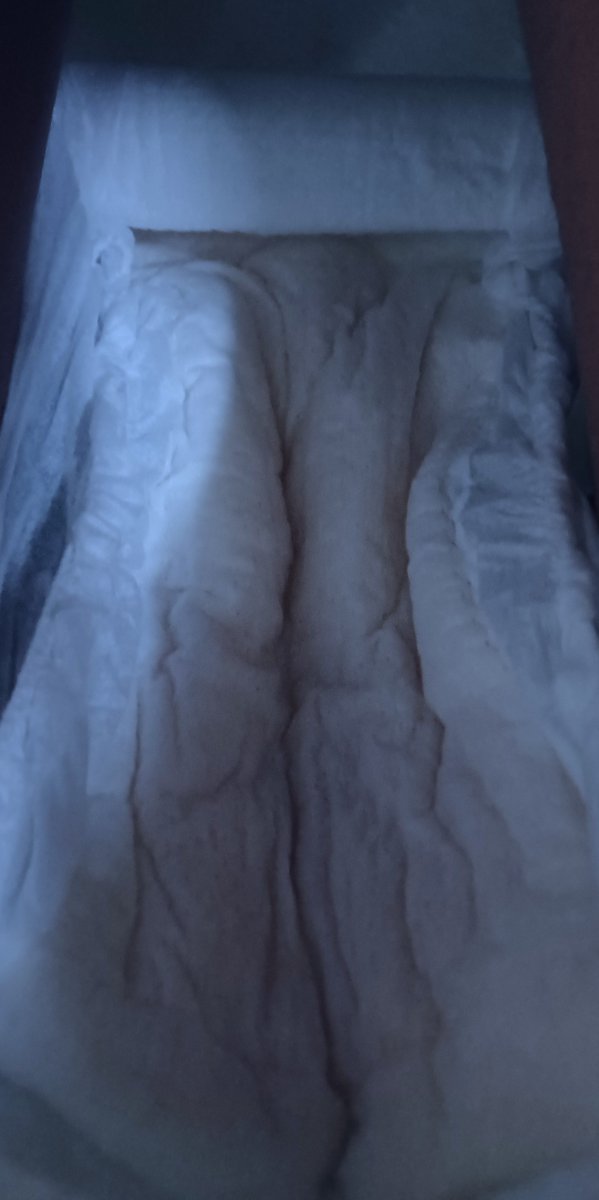AkachiMomoka2's tweet photo. ใส่ทั้งวันเลย #abdl #แพมเพิส https://t.co/WRiFQAyvVn