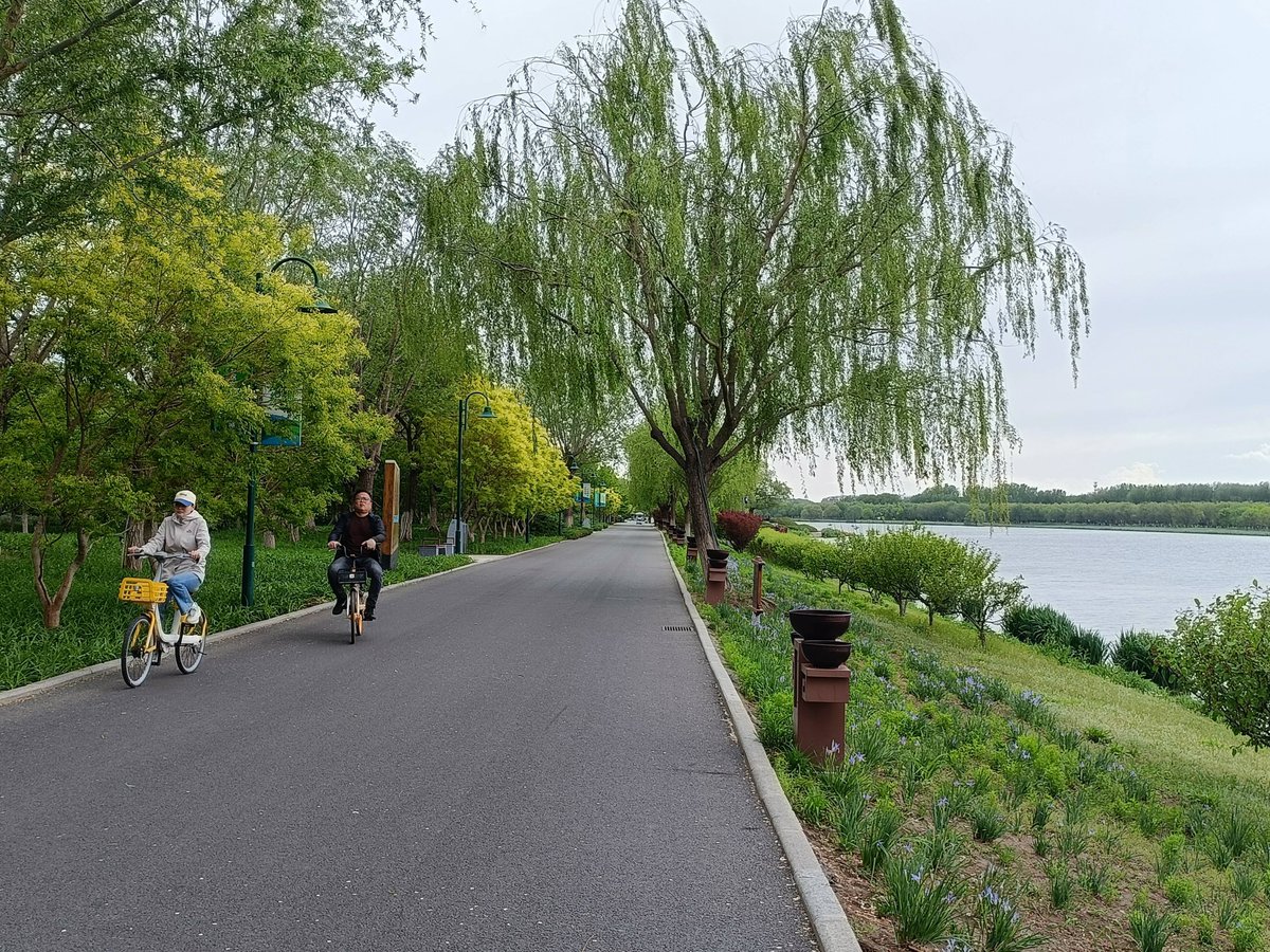 flopq278757's tweet photo. Just clocked 20km on my morning bike ride along the lakeside path—fresh air and no traffic beats any commute!， https://t.co/xeYNFyKjJi