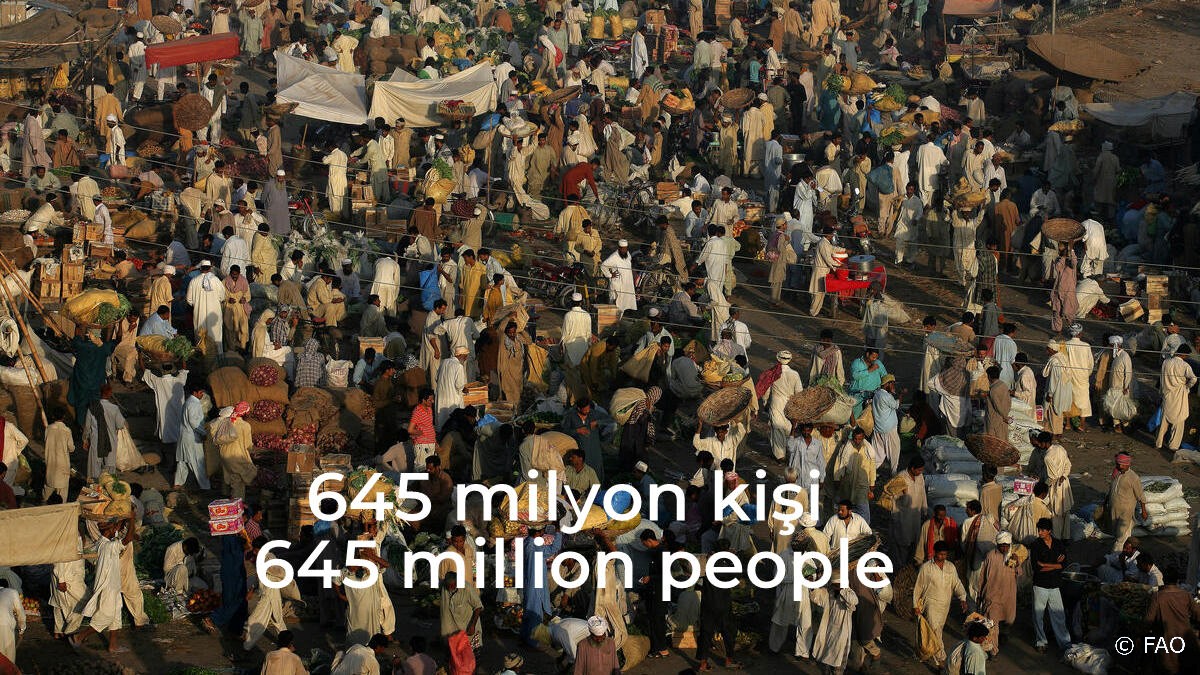ASelisik's tweet photo. 2025 yılında dünya nüfusunun yüzde 7,8'ine denk gelen yaklaşık 645 milyon kişi açlıkla mücadele etti.

In 2025, approximately 645 million people—representing 7.8 percent of the global population—faced hunger.

#SOFI2026 #GlobalHunger #FAO #UN #KüreselAçlık #fao https://t.co/vtRgC4utuj