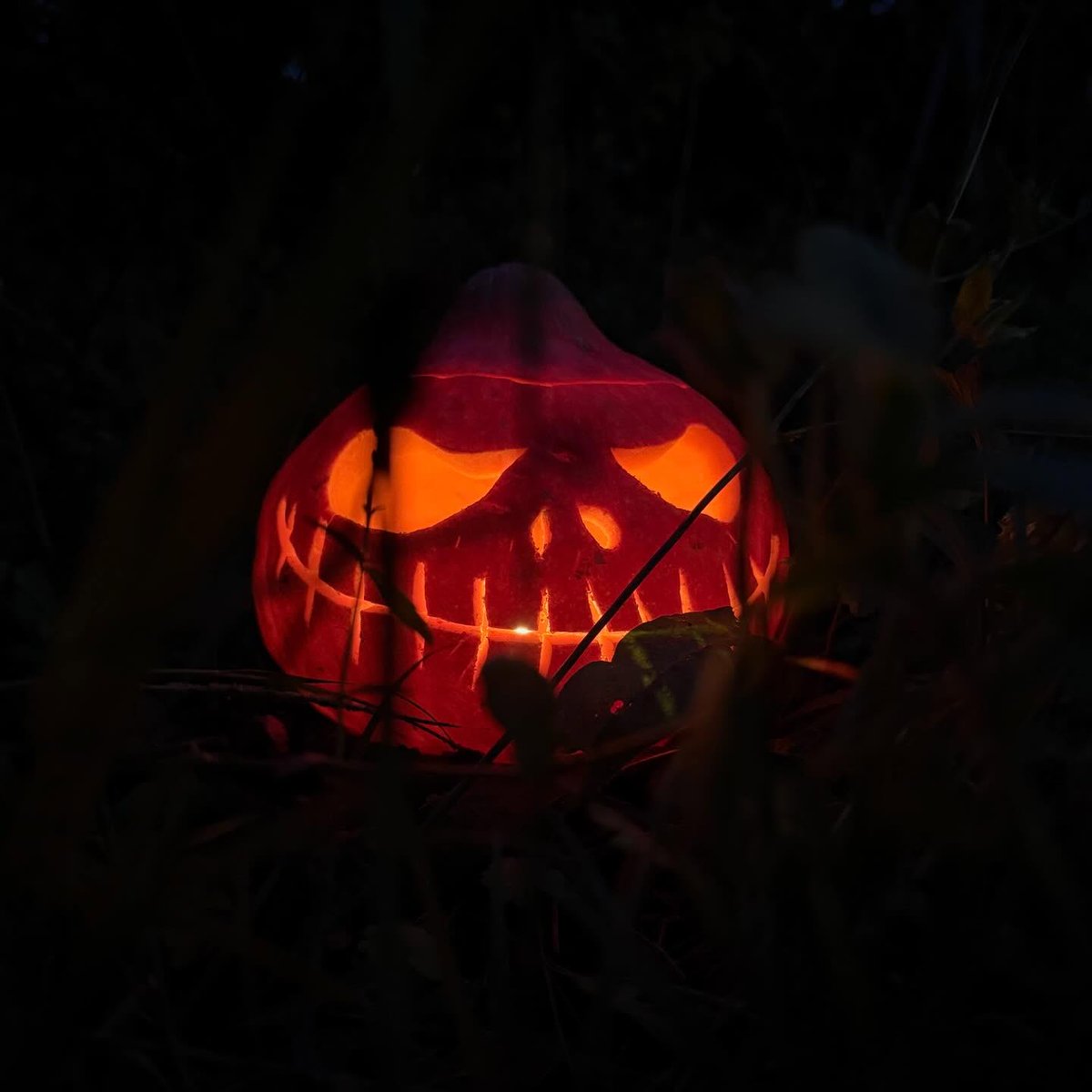 KarrenWeargrrx's tweet photo. Once again, Jack is back! https://t.co/GyaSQwSNxp