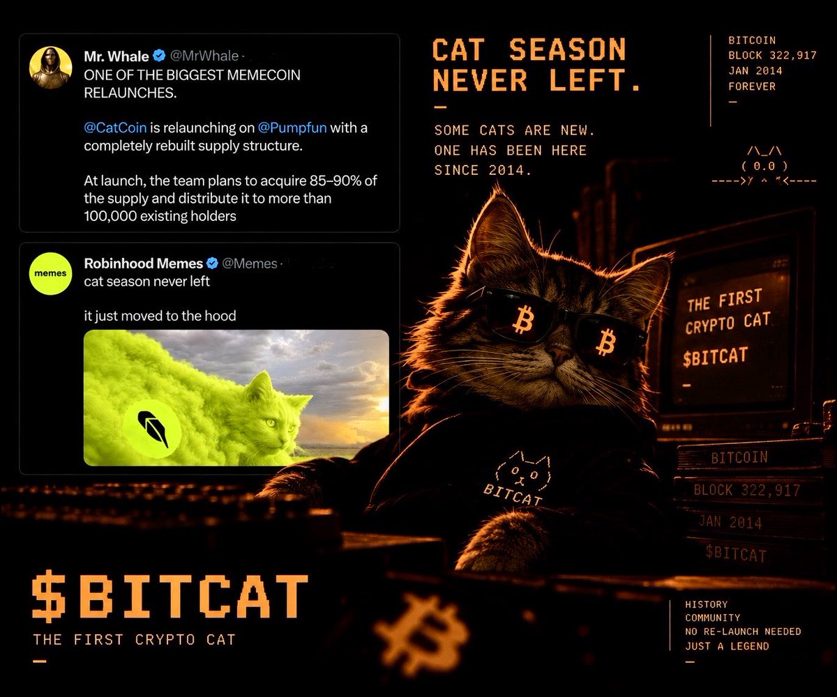 Bitcatreal tweet picture