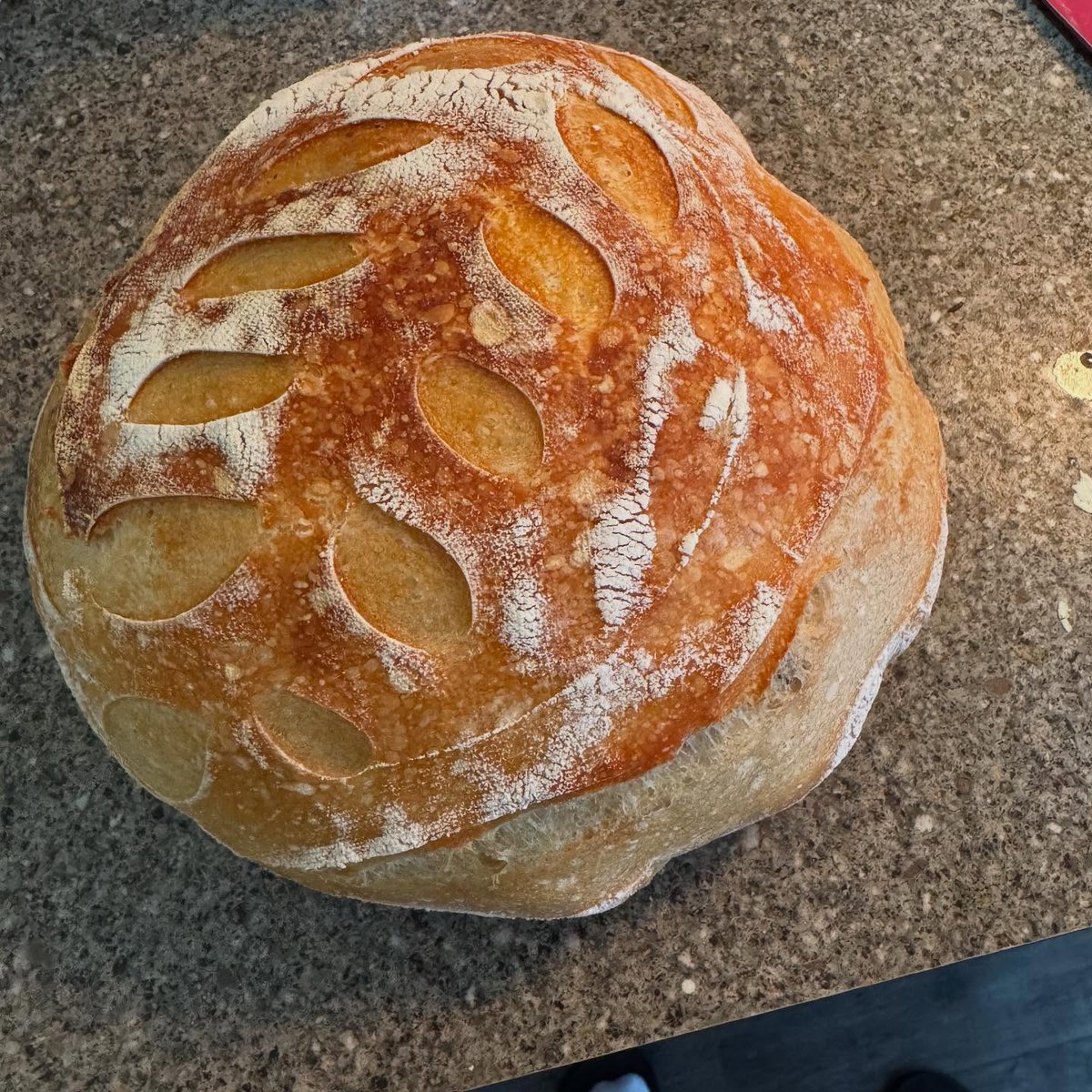 CyrilRunkle's tweet photo. First lebem sourdough loaf! Not too shabby, with a nice spring back! https://t.co/4apSc8vjyG