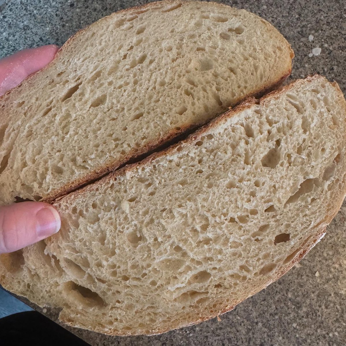 CyrilRunkle's tweet photo. First lebem sourdough loaf! Not too shabby, with a nice spring back! https://t.co/4apSc8vjyG