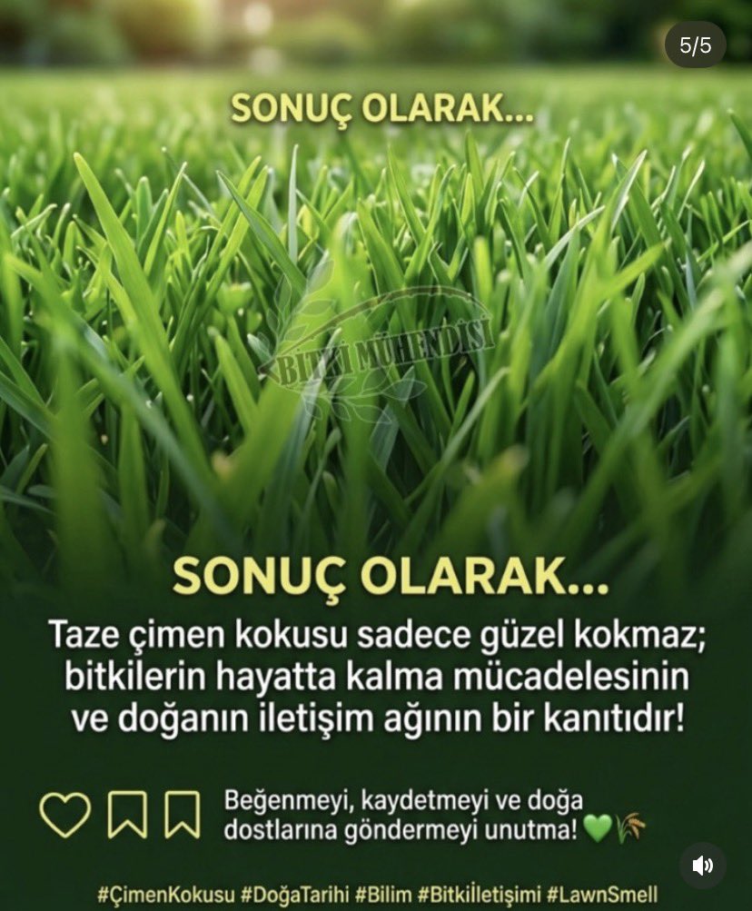 PksMurat's tweet photo. https://t.co/iCGfNX4gXi
