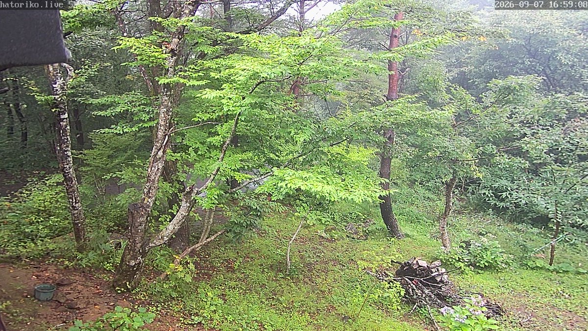 HatorikoBot's tweet photo. 🕒 09月07日 17時01分現在の福島県・天栄村・羽鳥湖平和郷の気象状況です。
🌡 気温:19.4℃
☔ 日雨量:98.5mm
🏴 最大風速:調整中
🌐 気圧:1008.5 hPa
🔎 詳細・グラフは プロフィールのリンク から
#天栄村 #福島県 #空ネット #netatmo #クマ https://t.co/5T5oFlt4z7