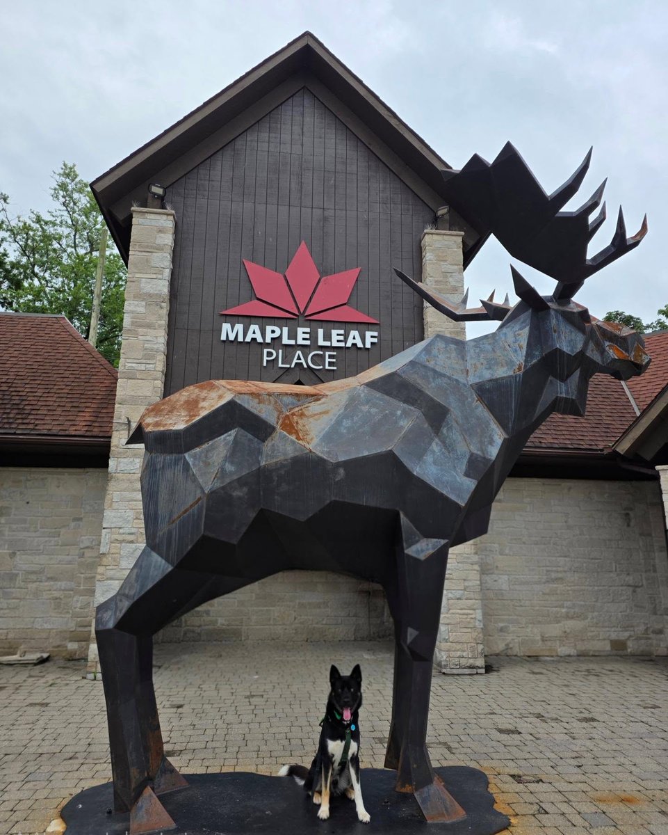 LouisaCowick's tweet photo. Just doing some touristy stuff at @mapleleafplace https://t.co/qmsG4iS72h
