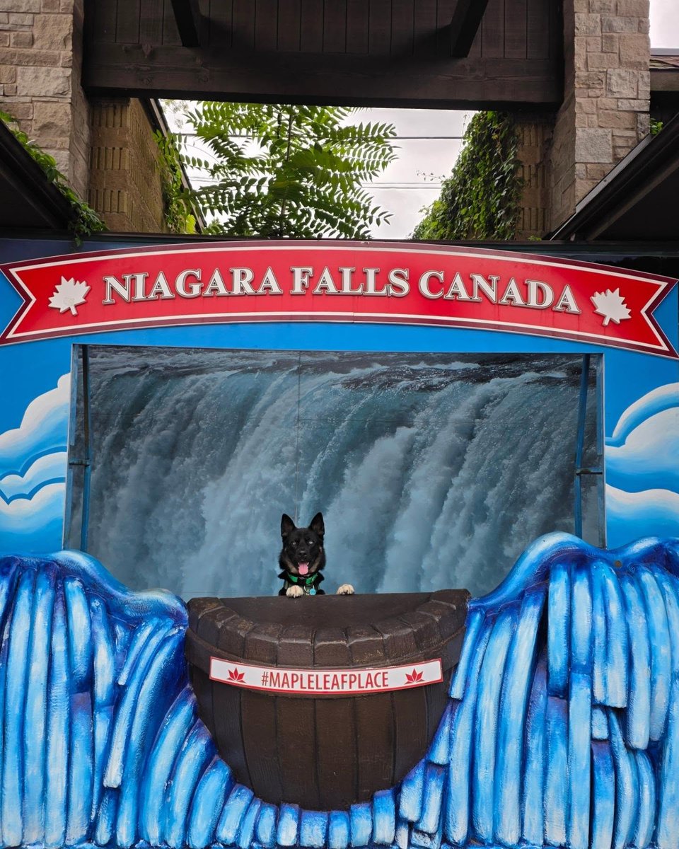LouisaCowick's tweet photo. Just doing some touristy stuff at @mapleleafplace https://t.co/qmsG4iS72h