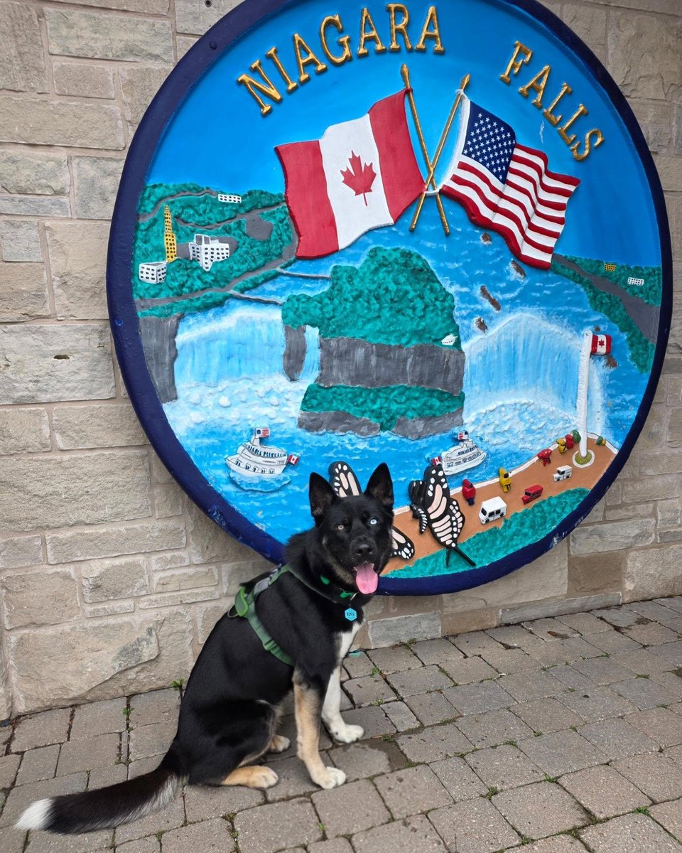 LouisaCowick's tweet photo. Just doing some touristy stuff at @mapleleafplace https://t.co/qmsG4iS72h