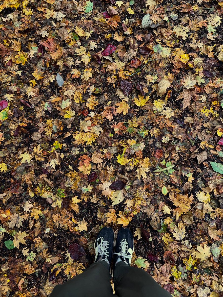JennyLetsovlej's tweet photo. It’s finally starting to feel like fall! ! ! ! https://t.co/we4NQ2P5ow