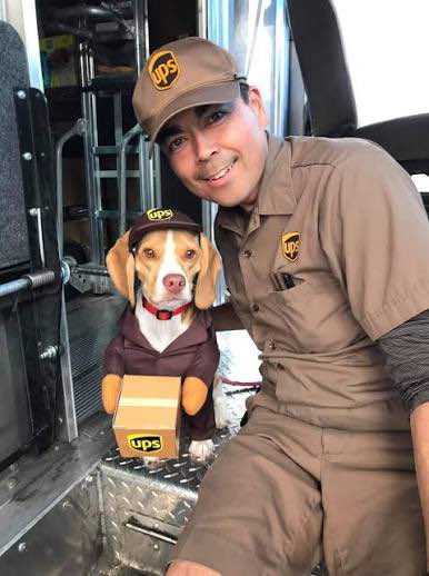 upspupsrh's tweet photo. First day back at work. About time someone capable got in the drivers seat. https://t.co/a9Ljcg8tu4