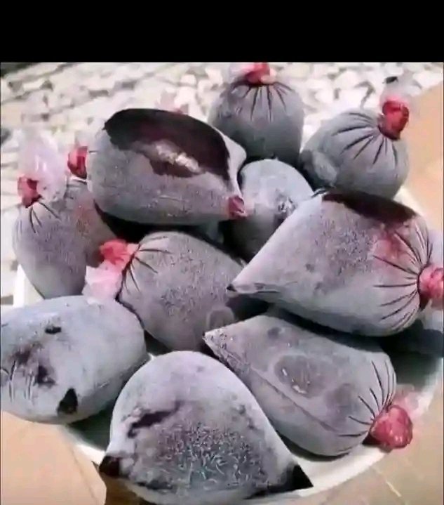 aduragbemi024's tweet photo. if you no follow us lick this zobo, mind the way you will talk to me https://t.co/kdpR2IGT30
