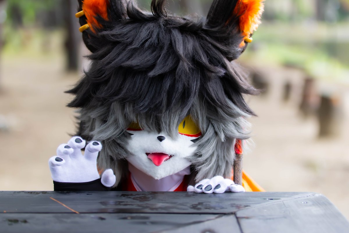 meriburu's tweet photo. 心情大好的阿🐈‍⬛
#飛車オフ
📸(@sky1534) https://t.co/aoowRnWTr7