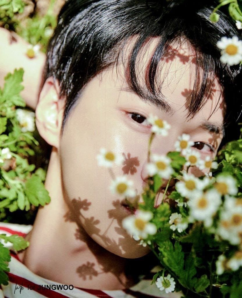 mlydwt's tweet photo. เข้าใจทุกอย่าง https://t.co/GKrpFOs5Wm