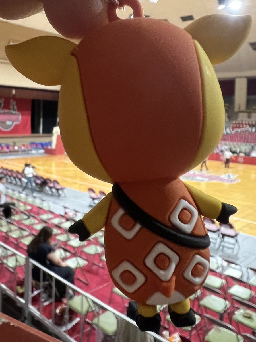 tatsurosan's tweet photo. 前も背中もカワイイ￼￼
#バンビシャス奈良
#シカッチェ https://t.co/4A4UnIFolZ