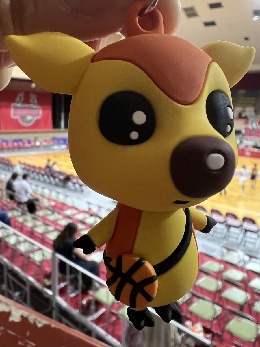 tatsurosan's tweet photo. 前も背中もカワイイ￼￼
#バンビシャス奈良
#シカッチェ https://t.co/4A4UnIFolZ