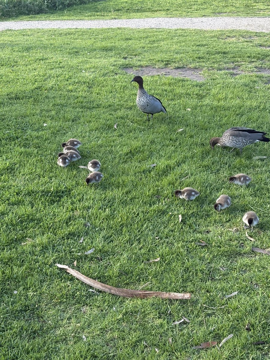 _enshhayat's tweet photo. what i saw on my walk 🥹💓 https://t.co/Feg6VgJx1n