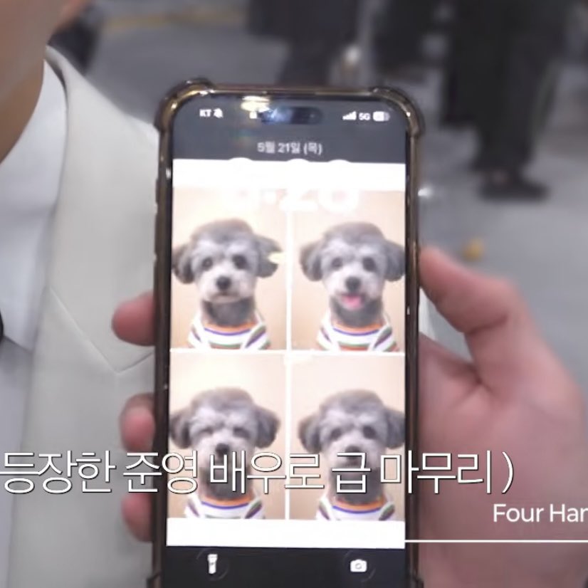 inurmovement's tweet photo. 촬영일 260521 맞았고 준영이 잠금화면 레오🐾 귀여웡 https://t.co/psI4oNcFJD
