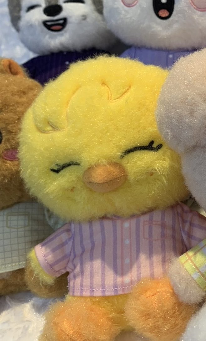scent_lix1's tweet photo. 푸실포실한게 똑 닮았다 https://t.co/eUkn0H7jWq