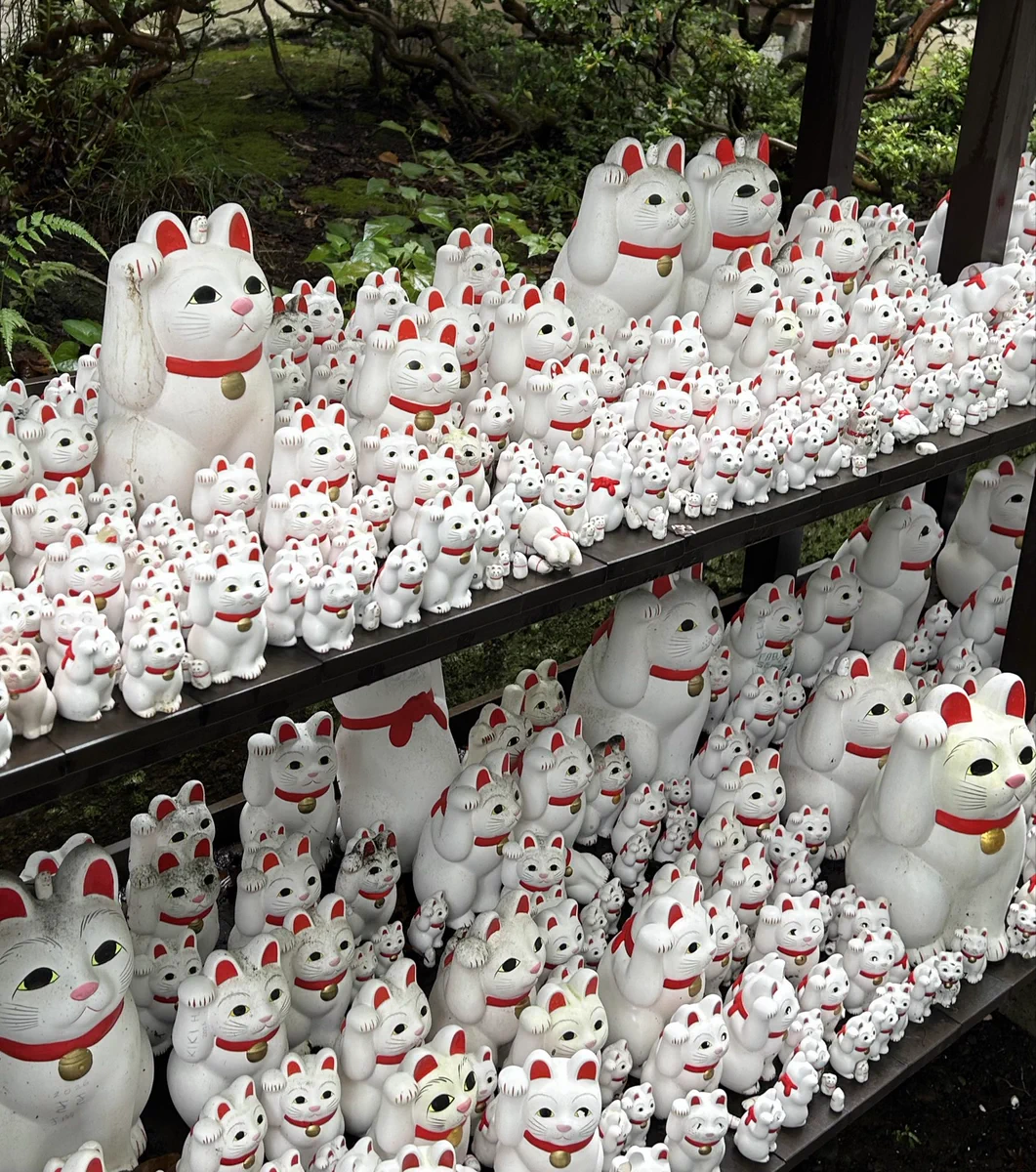 梶原美穂😸9/14塗り絵ブック発売予定 on X: 