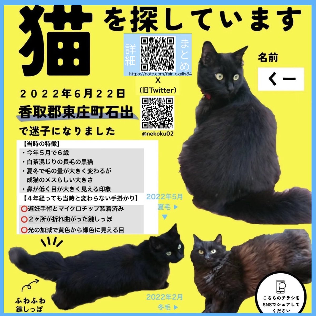 nekoku02's tweet photo. 【千葉県香取郡東庄町 長毛黒猫くー♀を探してます】
↓は現在も大きく変わらない特徴です。動物病院で確認しました。マイクロチップ装着済みです。💬に詳細

⭕️2ヶ所が折れた鍵しっぽ
⭕️光の加減で黄↔︎緑に見える目
⭕️成猫のメスらしい大きさ

#東庄町 石出 '22年6/22 下総橘駅 香取市 旭 銚子 神栖 https://t.co/gTuYGSqbEn