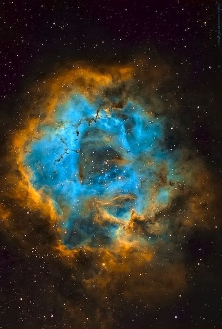 spacevibex's tweet photo. Beauty of Rosette nebula https://t.co/0QvcqKyxRQ