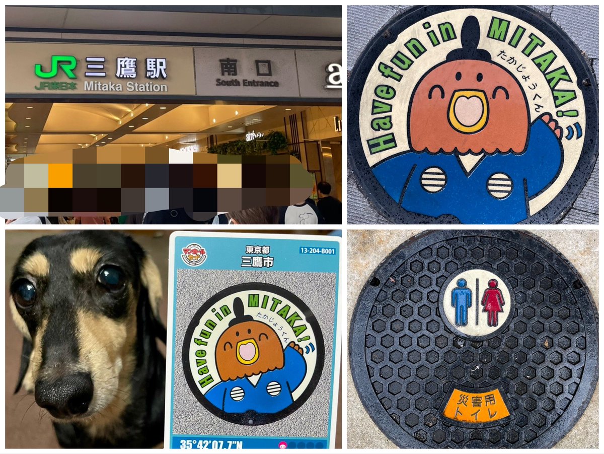 Alice_Chocola7's tweet photo. 三鷹市マンホールコレクション②

マンホールカード129���目&amp;デザインマンホール
・たかじょうくん

"Have fun in MITAKA！"
にっこにこな たかじょうくんでした😊🦅

右上：三鷹駅
#三鷹市 #マンホールカード
#ミニチュアダックス https://t.co/AQRgGHJPQY