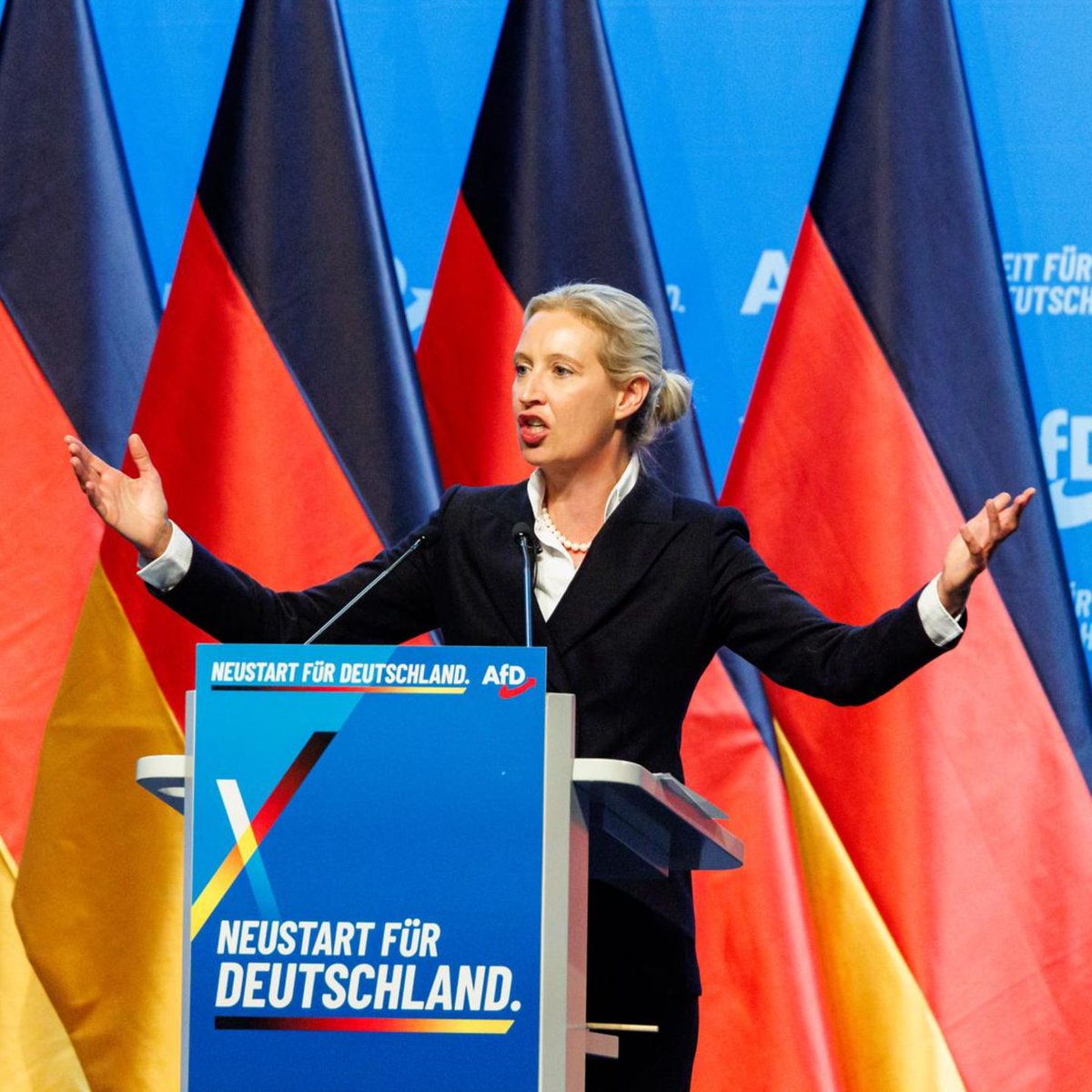 pete_rizzo_'s tweet photo. BREAKING: 🇩🇪 PRO #BITCOIN GERMAN POLITICAL PARTY AfD WINS THEIR FIRST EVER STATE ELECTION IN A HISTORIC LANDSLIDE

THEY HAVE OFFICIALLY ADVOCATED FOR A STRATEGIC BTC RESERVE

HISTORY HAS BEEN MADE 🔥 https://t.co/x7OxmCGBKG