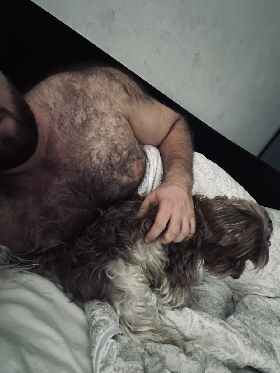 iamdickap's tweet photo. 🐻 🐶 https://t.co/C3hYgY8mSM