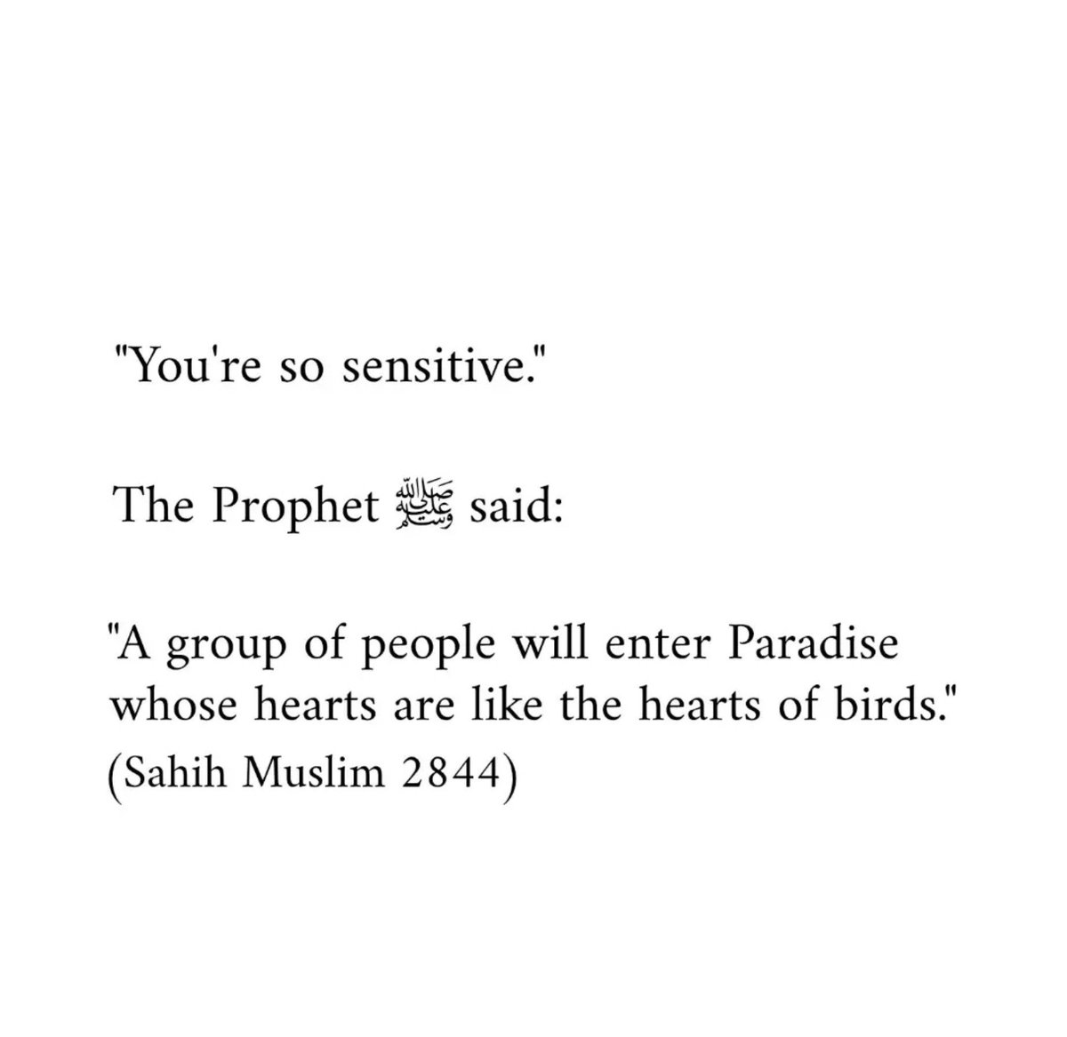 NotUrAvrageMiah's tweet photo. https://t.co/5cUThaa8js