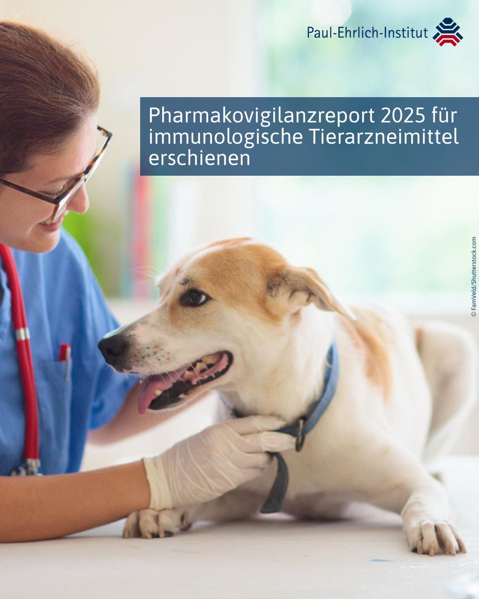 Tierärztin untersucht Hund