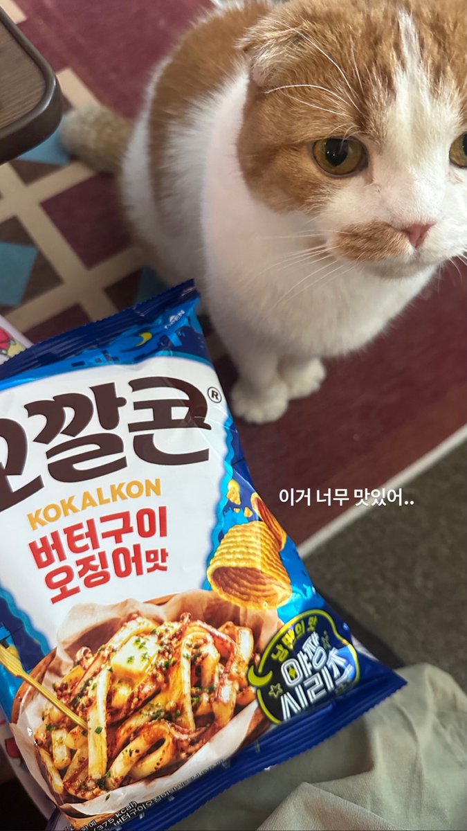 whee_intheggomo's tweet photo. 260907 whee_inthemood ์ธ์คํ ์คํ ๋ฆฌ
์ด๊ฑฐ ๋๋ฌด ๋ง์์ด..
#๋ง๋ง๋ฌด #ํ์ธ #๊ผฌ๋ชจ #MAMAMOO #WHEEIN #GGOMO https://t.co/ejafYYoQ94