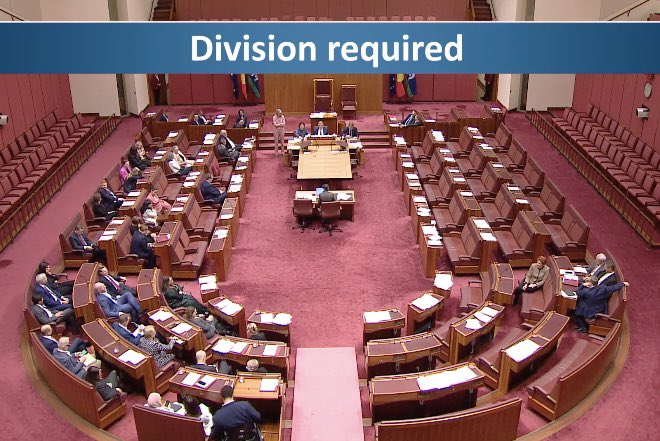 SenatorSeanBell's tweet photo. Tonight, One Nation voted against Labor’s outrageous CGT tax discount for foreign investors backing “swindle factories”.

This year's Labor Budget stripped the same CGT concessions from Australians and Australian businesses.

Labor’s actions are to give foreign-backed developers tax breaks, while Australians pay more.

When the final vote was called, the Liberals voted with Labor, and Nationals were absent from the chamber.

One Nation was there. One Nation voted no.

Only One Nation can be trusted to stop Labor’s Net Zero agenda and put Australians first.