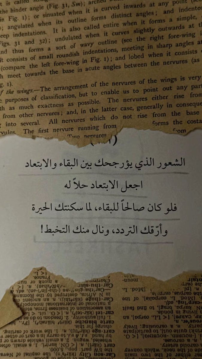 9t99i's tweet photo. لا أحد يستطيع أن يجعلني أشعر بالغيرة 
من مقعدٍ كنت أجلس عليه أولًا
فما كانوا ليجلسوا هناك، لو لم أنهض.🕊️

#حبيت_أقول https://t.co/Q7ZJxcNBf5