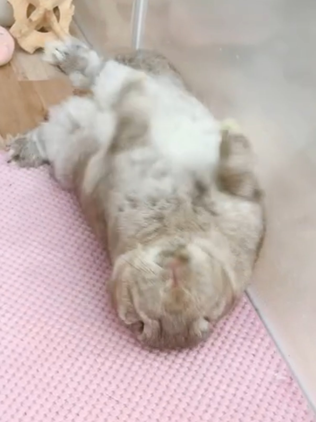 サブぽっけ on X: 