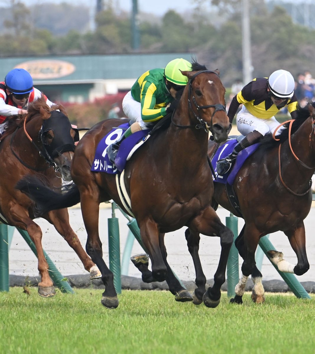 netkeiba's tweet photo. 【お疲れ様でした】
史上2頭目の高松宮記念連覇――国内外のトップスプリンターに挑み続けた名馬がターフを去ります。

通算成績21戦9勝

<主な勝ち鞍>
2025年・2026年 高松宮記念
2024年 函館スプリントS
2024年 キーンランドC

▼サトノレーヴのデータベース
https://t.co/a2IxRFaCF9

(c)netkeiba https://t.co/KY3Mx1cwlk