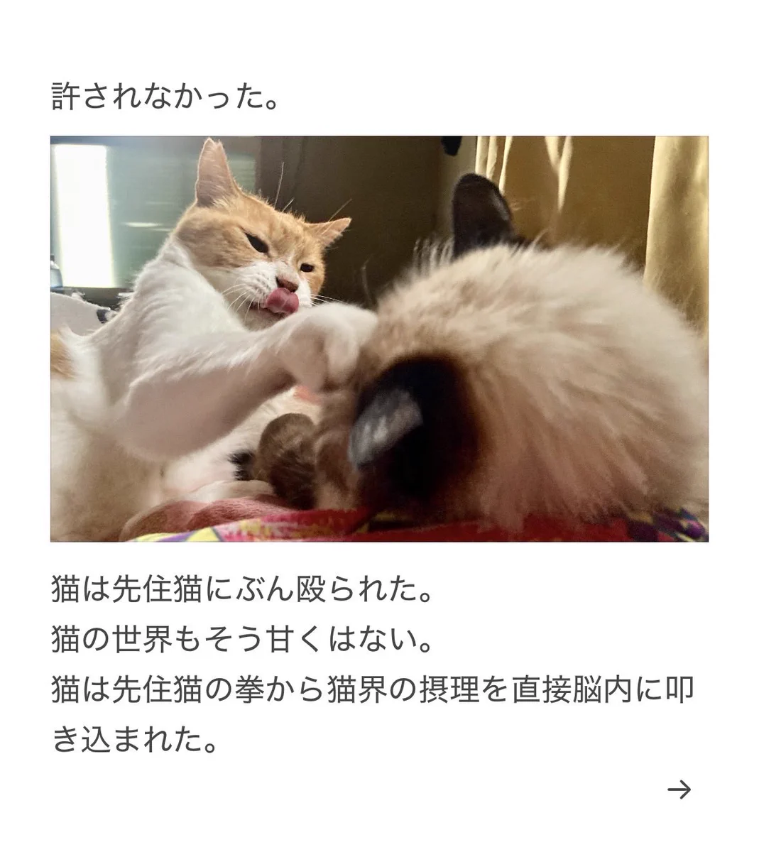 やーこ on X: 