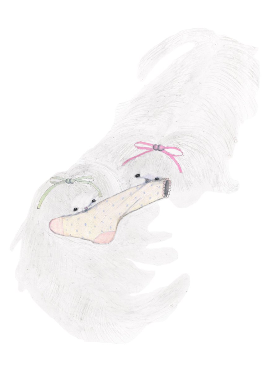 twins_2gether's tweet photo. ::*'゜::*'゜::*'゜::::*'゜::*'゜::*'゜::::*'゜::*'゜

　　　　twinsオリジナルの
可愛いイラスト保存して使ってね🤍🩷

::*'゜::*'゜::*'゜::::*'゜::*'゜::*'゜::::*'゜::*'゜ https://t.co/c27KwExsO2
