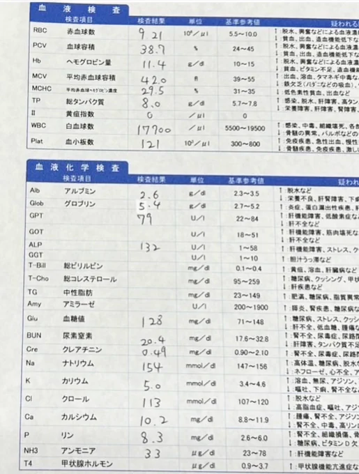 おみこ にゃん on X: 