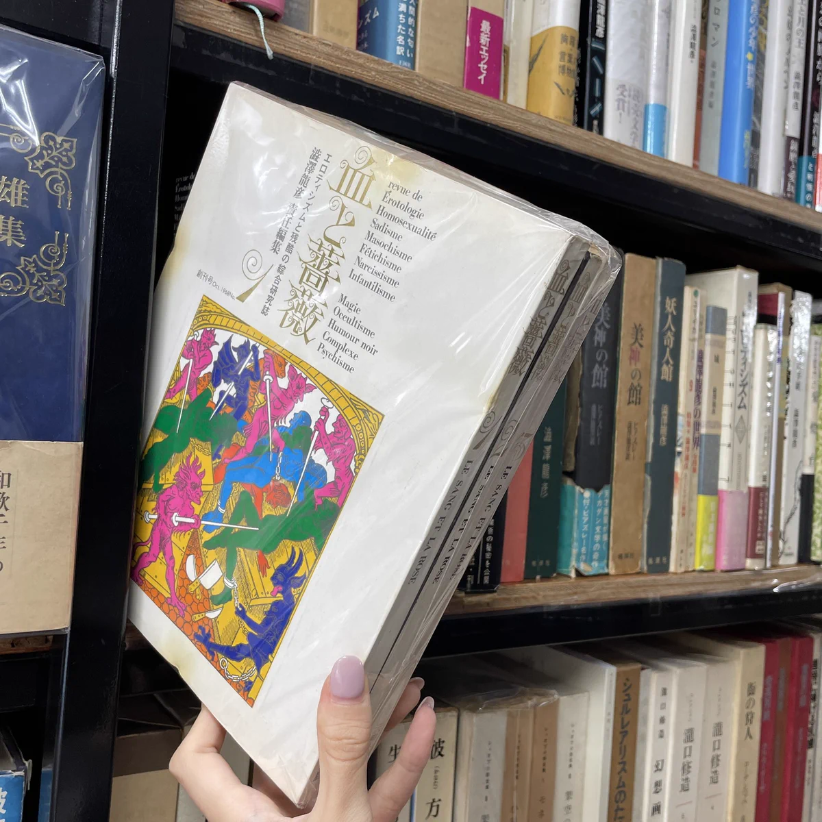 幻想系古本屋 古書ドリス on X: 