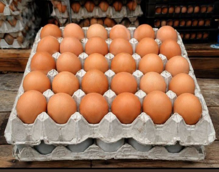 Prettygurly_30's tweet photo. If eggs🥚 suddenly becomes 500 naira each, which food would you replace egg with? https://t.co/hdK1a8WNnZ