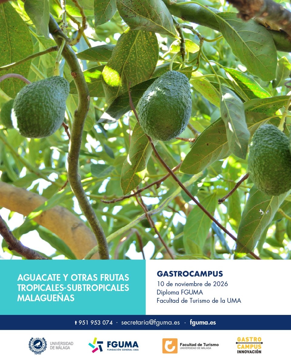 fguma's tweet photo. 🥭🍷🍨 🍋🥭🍷🍨Si te gusta la cocina y quieres innovar no te pierdas nuestros talleres Gastrocampus.
5 talleres sobre frutas tropicales malagueñas, panettone, vinos autóctonos y sorbetes.

📍 @umaturismo 
 🎟️ 45 €
👉 Matrícula abierta

🔗 https://t.co/kUaPJ6zdIc https://t.co/OU1yFOcUeC