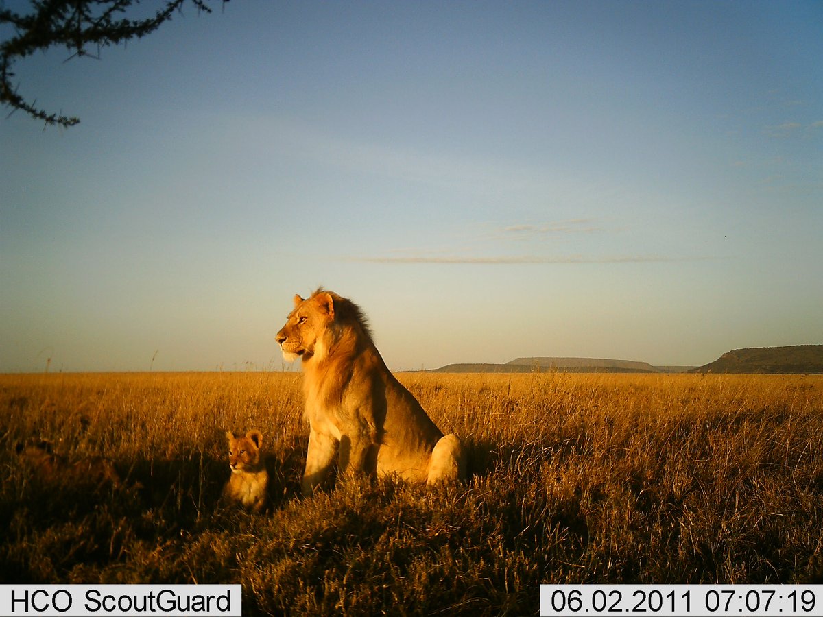 Trail_Cams's tweet photo. https://t.co/KLURYPgiCy