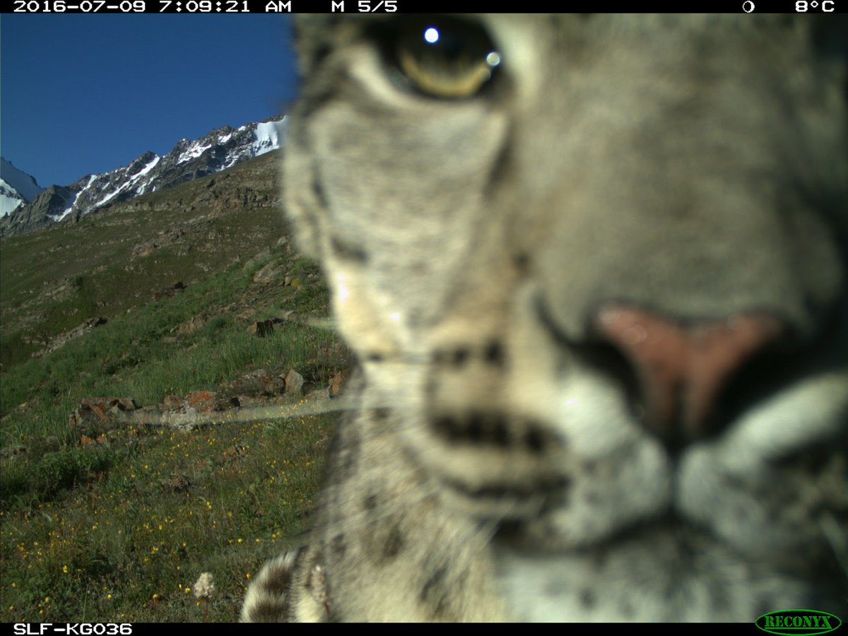 Trail_Cams tweet picture