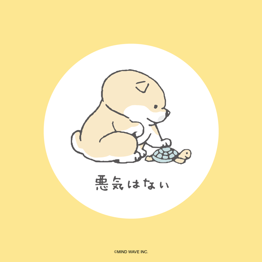 shibanban_mw's tweet photo. 悪気はない

#しばんばん #柴犬 #shibainu https://t.co/l9SSIFmu5g
